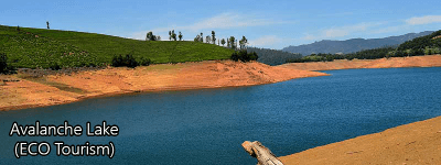Avalanche Eco-tourism (Ooty)