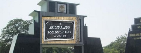 Arignar Anna Zoological Park (Vandalur Zoo)
