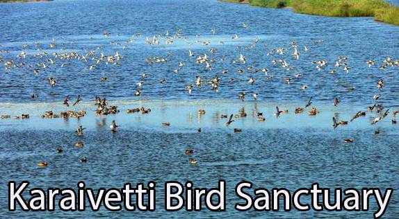 Karaivetti bird sanctuary