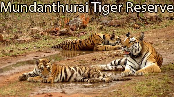 Mundanthurai Tiger Reserve