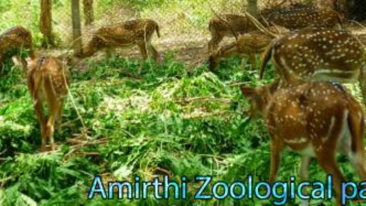 Amirthi Zoological Park | Amirthi Zoological Park in Tamil Nadu |