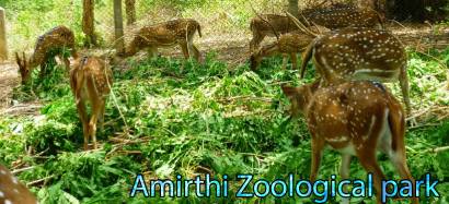 Amirthi Zoological Park | Amirthi Zoological Park in Tamil Nadu |