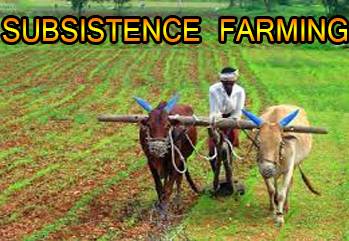 farming subsistence india types