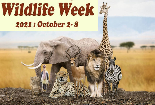 India Observed Wildlife Week from Oct2 to Oct8 2021..